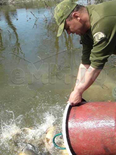 Populare cu peste in baltile din Maramures (c) eMM.ro